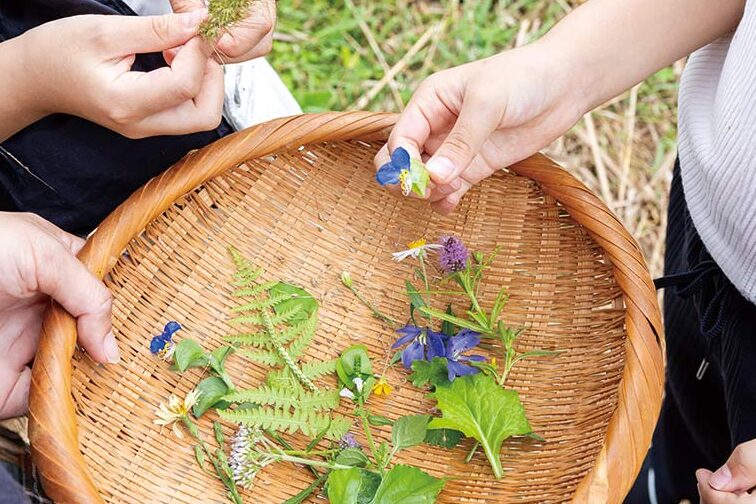 e585ace59c92e9818ae381b3e382a2e382a4e38387e382a2e381aee4b880e8a6a7e381a8e5ada3e7af80e38194e381a8e381aee6a5bde38197e381bfe696b9 公園遊びアイデアの一覧と季節ごとの楽しみ方